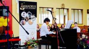 Amadeus Music Academy - Concert photographs 15